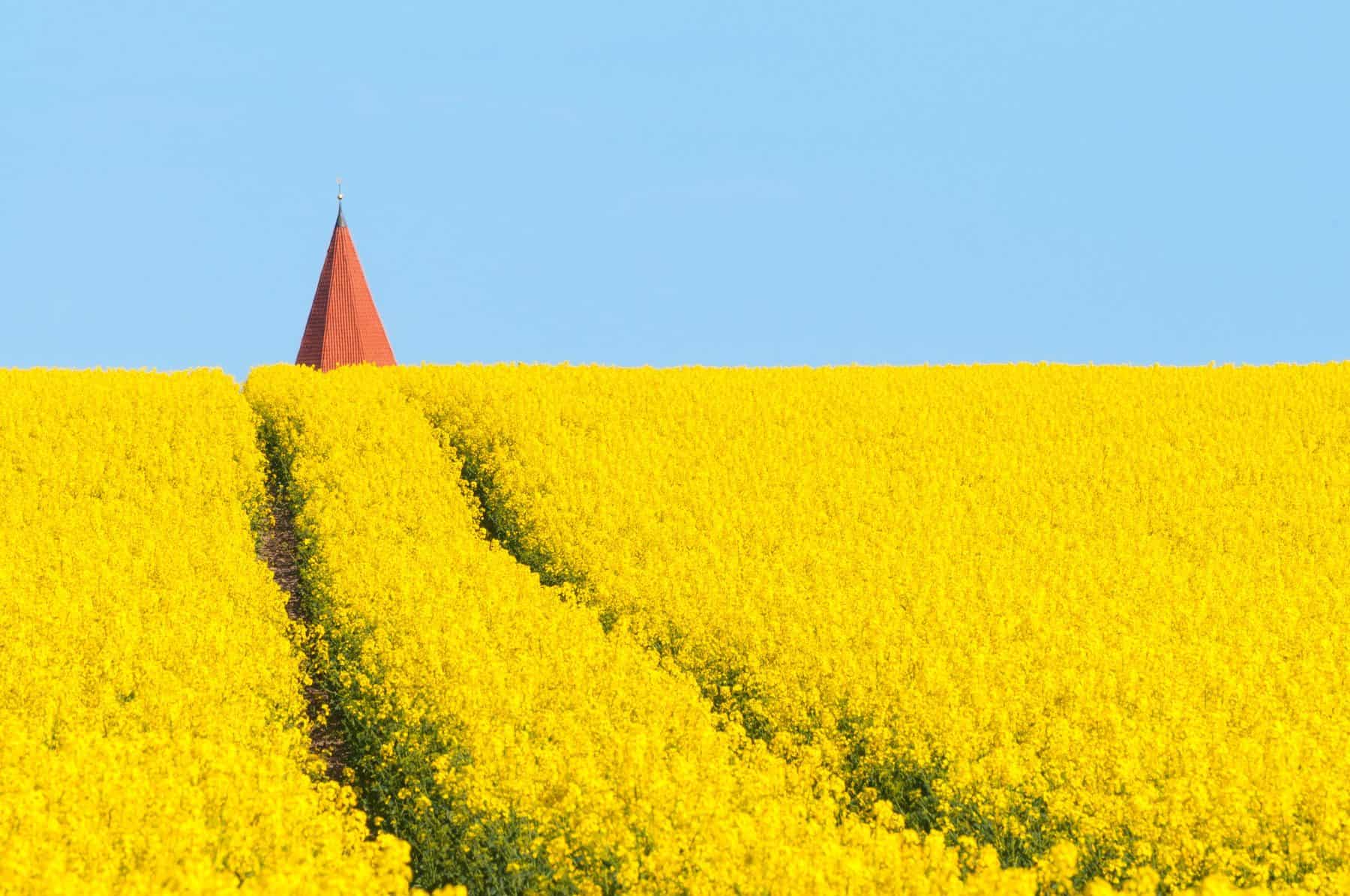 parallax background