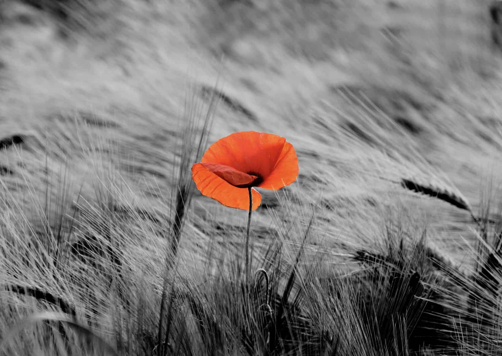 parallax background